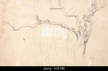 „Tree Study“ von James Ward (1769–1859) ist eine detaillierte Zeichnung mit Bleistift und Tinte, die verschiedene Baumarten und Laub zeigt und Wards Interesse an Natur und botanischem Thema im 19. Jahrhundert widerspiegelt. Stockfoto