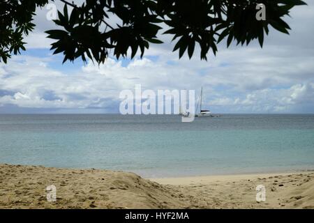 Strand von Grande Anse d' Arlet, Martinique Insel, weniger Antiles Stockfoto