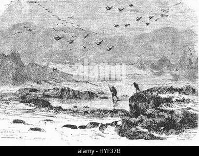 „Das Eisfeld“ ist eine dramatische Darstellung einer gefrorenen Landschaft, geschaffen von Riou und Montaut. Dieses Kunstwerk vermittelt die krasse und schöne Bildsprache von Eisfeldern und zeigt die schwierige Umgebung extremer Kälte. Stockfoto