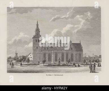 Dieser Titel bezieht sich auf einen nordischen Blumentext, der möglicherweise aus Schweden oder Norwegen stammt und die botanischen Kenntnisse und Studien der lokalen Flora hervorhebt und zur nordischen botanischen Literatur beiträgt. Stockfoto