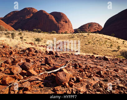 Kata Tjuta (die Olgas) natürliche Felsformation. Northern Territory, Australien Stockfoto