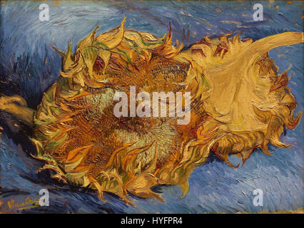 Vincent Van Gogh Sonnenblumen (Metropolitan Museum of Art) Stockfoto