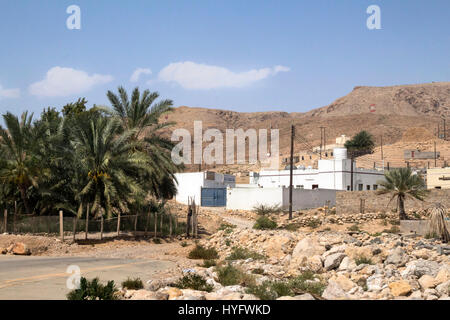 Oman Wüste Tierwelt und Oase Stockfoto