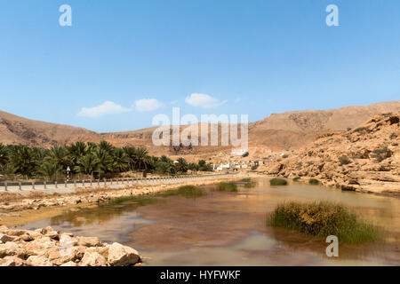 Oman Wüste Tierwelt und Oase Stockfoto