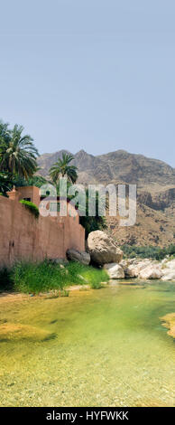 Oman Wüste Tierwelt und Oase Stockfoto