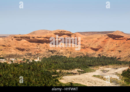 Oman Wüste Tierwelt und Oase Stockfoto