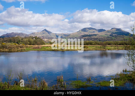 Cnicht Moelwyn Mawr und Moelwyn Bach Berge im Snowdonia National Park über Afon Glaslyn Fluss. Pont Croesor Porthmadog Gwynedd Nordwales UK Stockfoto