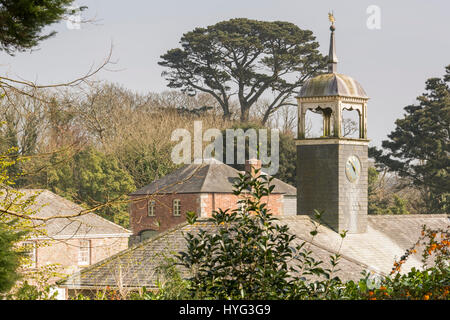 Lost Gardens of Heligan, Cornwall, UK Stockfoto