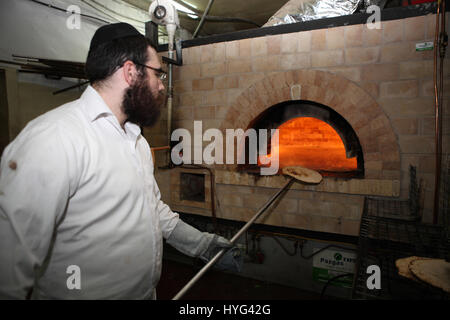 Chassidische Mensch nutzt einen langen Stock, um die bereit Matza Shmura aus dem Ofen nach t0 Sekunden sonst zu ziehen, das es brennt. Vor Pessach, Kfar Chbad, Israel Stockfoto