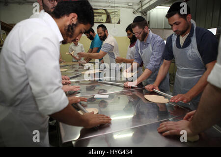 Religiöse jüdische Männer verwenden Nudelhölzer, Teigstücke flach in den Ofen zu Matza Shmura für Pessach in einer handgefertigten Fabrik vor. Stockfoto