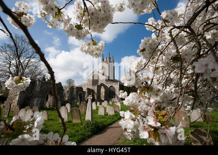 St. Marien Kirche Bungay Suffolk Stockfoto