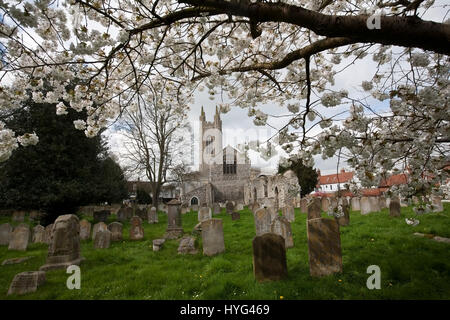 St. Marien Kirche Bungay Suffolk Stockfoto