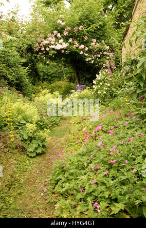 Cotswold Garten mit rosa Wandern im Juni stieg über einen Torbogen. Stockfoto