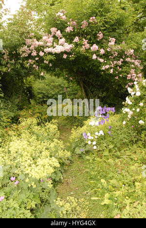 Cotswold Garten mit rosa Wandern im Juni stieg über einen Torbogen. Stockfoto