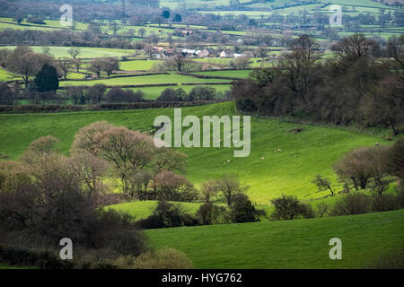 Malerische Aussicht auf die hügelige Landschaft von Somerset Stockfoto