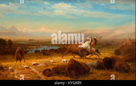 „The Last of the Buffalo“ ist ein Gemälde von Albert Bierstadt, das das beinahe aussterbende Büffel im amerikanischen Westen erfasst. Das Kunstwerk erinnert an die Auswirkungen der westlichen Expansion auf die Tierwelt. Stockfoto