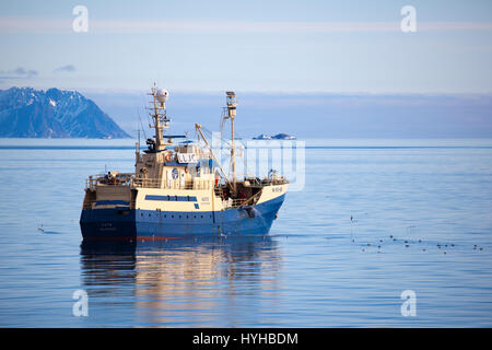 Kato, norwegische Walfangschiff und Fischereifahrzeug nach dem Fang ein Zwergwal Ausschalten der Küste von Spitzbergen. Walfang ist von der International verboten. Stockfoto