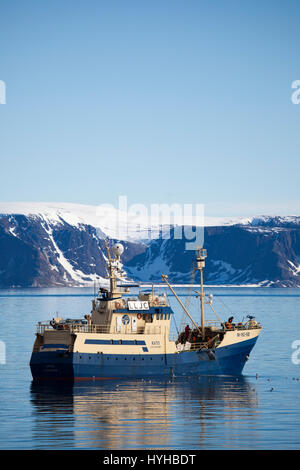 Kato, norwegische Walfangschiff und Fischereifahrzeug nach dem Fang ein Zwergwal Ausschalten der Küste von Spitzbergen. Walfang ist von der International verboten. Stockfoto