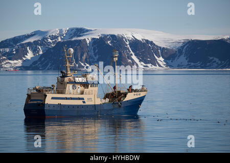 Kato, norwegische Walfangschiff und Fischereifahrzeug nach dem Fang ein Zwergwal Ausschalten der Küste von Spitzbergen. Walfang ist von der International verboten. Stockfoto