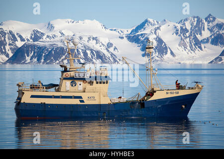 Kato, norwegische Walfangschiff und Fischereifahrzeug nach dem Fang ein Zwergwal Ausschalten der Küste von Spitzbergen. Walfang ist von der International verboten. Stockfoto