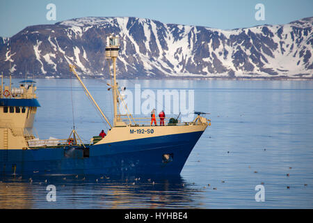 Kato, norwegische Walfangschiff und Fischereifahrzeug nach dem Fang ein Zwergwal Ausschalten der Küste von Spitzbergen. Walfang ist von der International verboten. Stockfoto