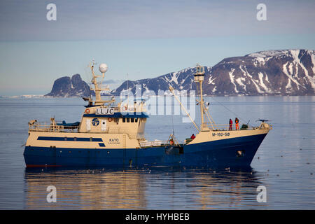 Kato, norwegische Walfangschiff und Fischereifahrzeug nach dem Fang ein Zwergwal Ausschalten der Küste von Spitzbergen. Walfang ist von der International verboten. Stockfoto