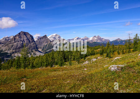Landschaftsansicht der Berge in Banff National Park in der Nähe von Ägypten Lake, Alberta, Kanada Stockfoto