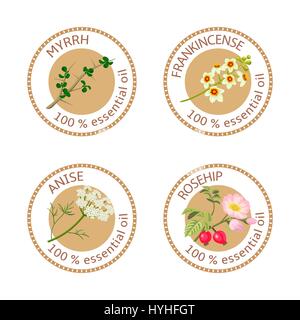 Reihe von ätherischen Ölen Etiketten. Myrrhe, Weihrauch, Anis, Hagebutte Stock Vektor