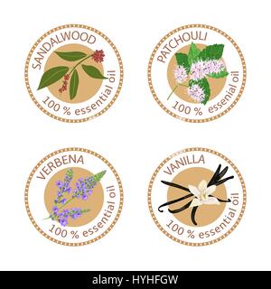 Reihe von ätherischen Ölen Etiketten. Sandelholz, Patchouli, Eisenkraut, Vanille Stock Vektor