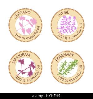 Reihe von flachen ätherisches Öl Etiketten. 100 Prozent. Oregano, Thymian, Majoran, Rosmarin Stock Vektor