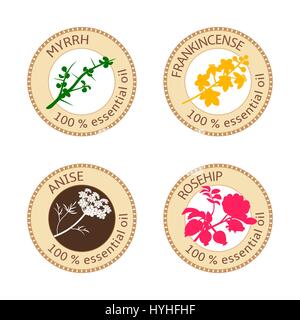 Reihe von flachen ätherisches Öl Etiketten. 100 Prozent. Myrrhe, Weihrauch, Anis, Hagebutte Stock Vektor