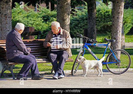 Ältere Männer Spielkarten im Park mit Hund in Cetinje, Montenegro beobachten. Stockfoto