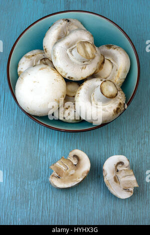 Agaricus Bisporus Pilze in Schüssel auf türkis blaue Tabelle Stockfoto