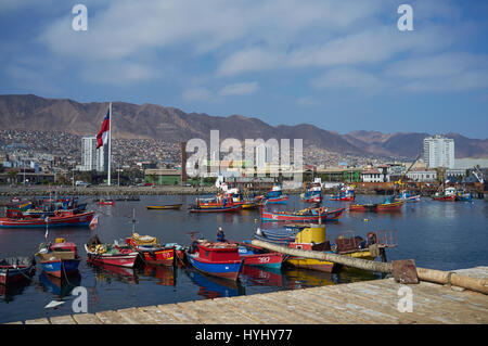 Bunte Fischerboote im Hafen von Antofagasta an der pazifischen Küste von Chile. Stockfoto