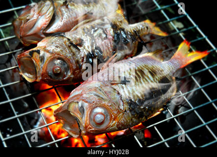 Fische Grillen auf Holzkohle Kochen Foto in Flash-Beleuchtung. Stockfoto