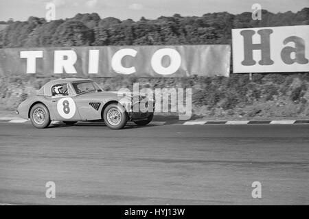 Austin Healey sports Car-Rennen in Brands Hatch in England in den 1960er Jahren. Stockfoto