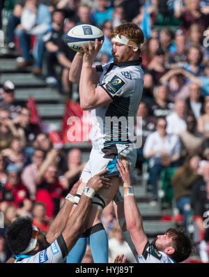 Sarazenen Vs Glasgow Warriors Stockfoto