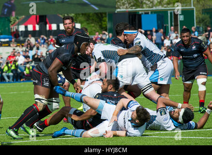 Sarazenen Vs Glasgow Warriors Stockfoto