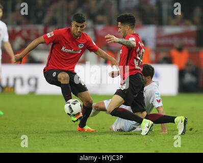 Köln, Deutschland. 4. April 2017. Bundesliga-Spieltag 27, 1. FC Köln Vs SG Eintracht Frankfurt: Bekämpfung von Milos Jojic (Köln, R) Vs Omar Mascarell (SGE, C) und Aymen Barkok (SGE, (Leipzig)). Bildnachweis: Jürgen Schwarz/Alamy Live-Nachrichten Stockfoto