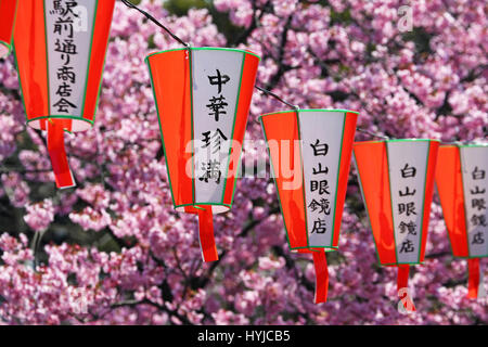 Tokio, Japan. 5. April 2017. Japanische Laternen an die Cherry Blossom bekannt als Sakura im Ueno Park in Tokio, Japan Credit: Paul Brown/Alamy Live News Stockfoto