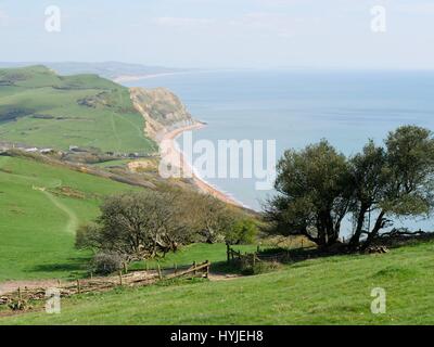 Golden Cap, Dorset, UK. 5. April 2017. Einen warmen und sonnigen Frühlingstag mit beeindruckender Aussicht entlang der Souths Jurassic Coast vom hohen Gipfel des Golden Cap. Bildnachweis: DTNews/Alamy Live-Nachrichten Stockfoto