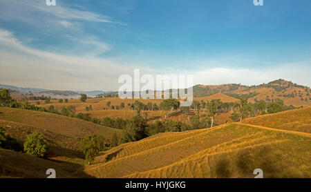 Weiten ländlichen Landschaft im Winter mit sanften Hügeln mit goldene Gräser, Bäume, reicht am Horizont unter blauem Himmel im nördlichen New South Wales Australien Stockfoto