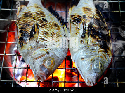 Fische Grillen auf Holzkohle Kochen Foto in Flash-Beleuchtung. Stockfoto