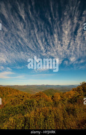herbstliche Bäume Farbwechsel Stockfoto
