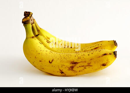 Bananen, die isoliert auf weißem Hintergrund. Stockfoto