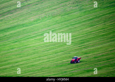 Roter Traktor am grünen Feld. Traktor-Arbeit auf Feld. Guten landwirtschaftlichen Hintergrund. Gree Platz für Text auf grüner Wiese Hintergrund. Stockfoto