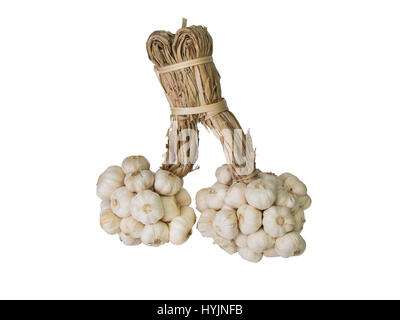 Reihe von Knoblauch Zwiebeln isoliert auf weißem Hintergrund. Stockfoto