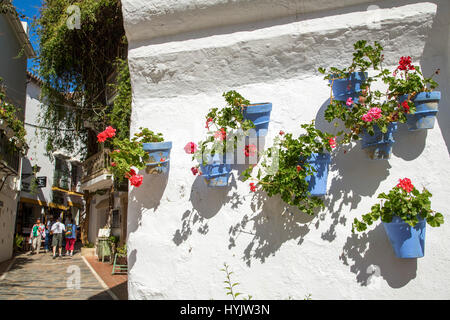 Weiße Wand mit Töpfe mit Blumen auf einer Straße, historischen Zentrum, Marbella. Provinz Malaga Costa del Sol Andalusien Südspanien, Europa Stockfoto