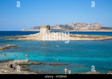 Stintino Bay, Torre della Pelosa, Sardinien, Italien, Europa Stockfoto