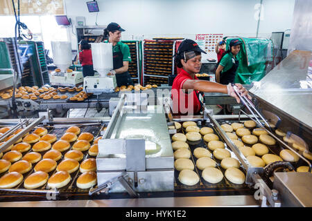 Orlando Winter Park Florida, Krispy Kreme Donuts, Donut Company, Kaffeehaus, Produktionslinie, Fritteuse, Schwarze Frau weibliche Frauen, Mann Männer männlich, Koch, Job, Konv Stockfoto